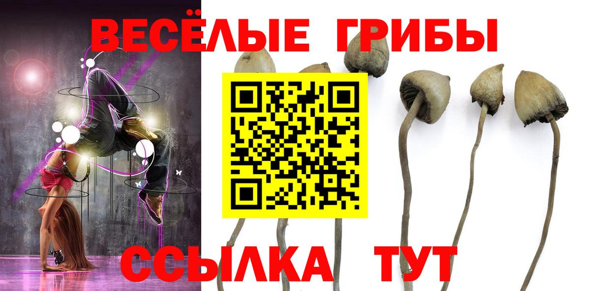 Назарово  Псилоцибиновые грибы GOLDEN TEACHER  Вход с VPN  Псилоцибиновые грибы MAGIC MUSHROOMS 